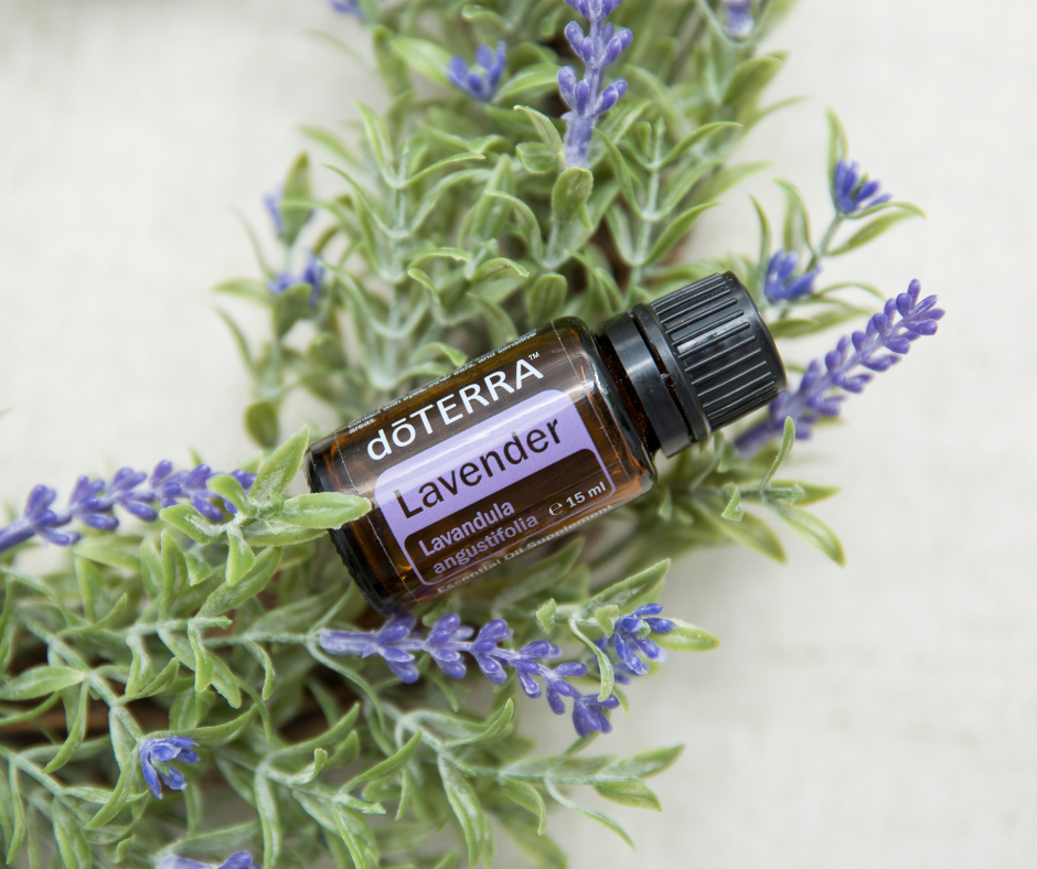 Doterra, membru doterra, uleiuri esentiale, produse naturale, doterra reduceri, beneficii uleiuri esentiale, lavanda beneficii, ulei esential de lavanda