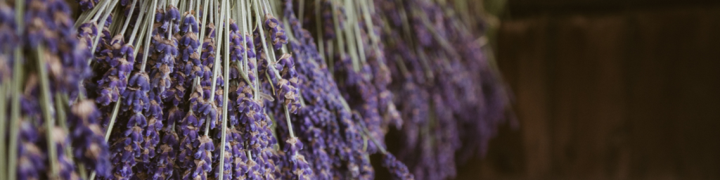 insomnie, remedii naturale pentru insomnie, somn agitat, ulei esențial de lavandă, lavandă somn, aromaterapie pentru somn, anxietate și somn, lavanda, remedii naturale, nu pot sa dorm, ce sa fac daca nu pot sa dorm